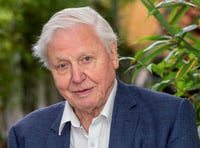 Legendary broadcaster drawn into planning row over seafront flats