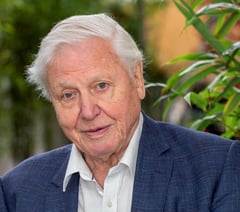 Legendary broadcaster drawn into planning row over seafront flats