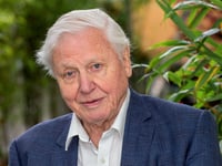 Legendary broadcaster drawn into planning row over seafront flats