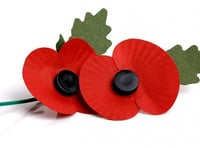 Make a poppy this half-term ahead of Remembrance