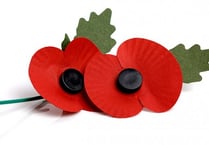 Make a poppy this half-term ahead of Remembrance