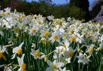 A summer of play with the National Trust in Devon and Cornwall 