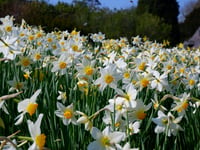 A summer of play with the National Trust in Devon and Cornwall 