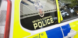 Police launch appeal after man dies in A38 crash