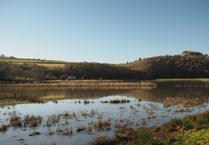 Future of Calstock Wetlands assured with 20 year management agreement