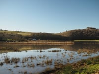 Future of Calstock Wetlands assured with 20 year management agreement