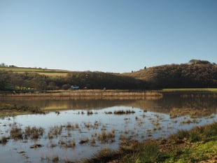 Future of Calstock Wetlands assured with 20 year management agreement