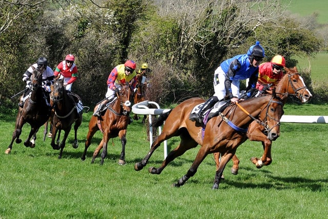 Great race meeting in prospect at Showground
