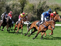 Historic racecourse setting for latest point-to-point meeting