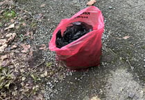 Dog poo detective praised by local residents for her actions