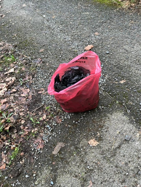 THE sack of full dog poo bags which was eventually handed back to the dog’s owner after being collected from the hedge, fence panels and footpath