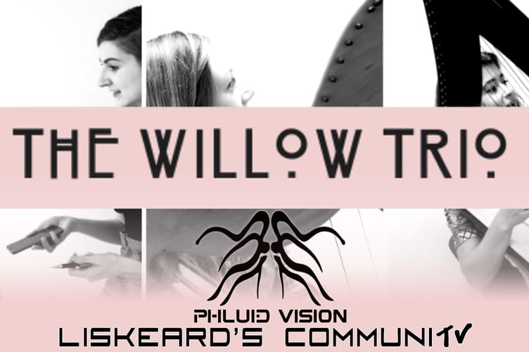 The Willow Trip on Phluid Records