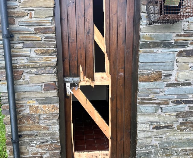 Town’s cemetery vandalism appeal