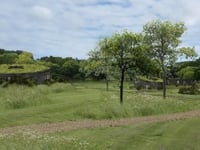 Residents asked to 'be kind' as Gillyflower plans are revived 