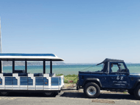 Looe Land Train launch event set for later this week