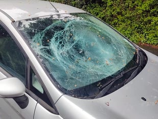 Village upset over ‘mindless’ damage