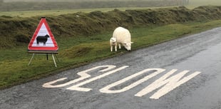 Speeding motorists causing concern for local police in Pensilva