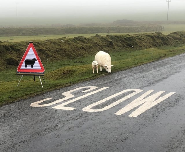 Speeding motorists causing concern for local police in Pensilva