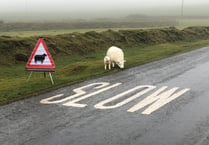 Increase of ‘livestock worrying’ incidents highlighted by Police