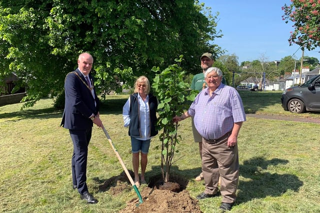 Clear skies for tree planting
