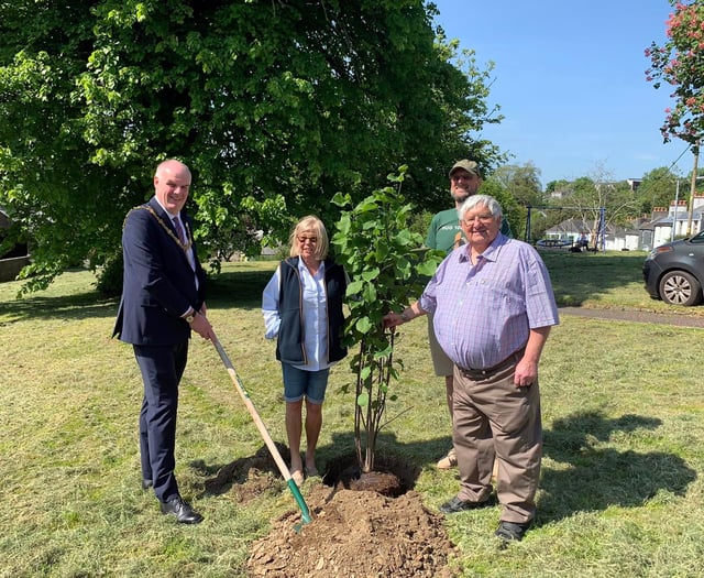 Clear skies for tree planting