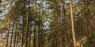 Highwood near Liskeard re-opens to the public 