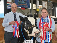 Royal Cornwall Show: Good stock in cattle arena