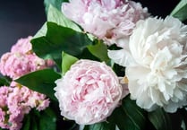 Most commonly mispronounced flowers and how to say them