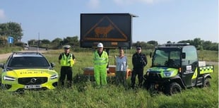 Electronic signs on A30 to warn motorists of livestock on the road 