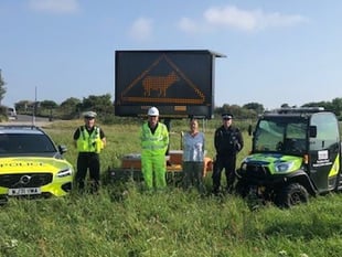 Electronic signs on A30 to warn motorists of livestock on the road 
