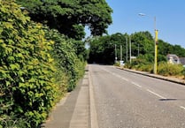 Councillor 'euphoric' as Gunnislake speed cameras go online 