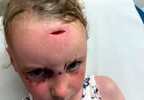 Parents express their concern as a park gate ‘causes injuries’
