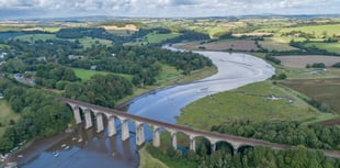 Tamar Valley takes action for nature