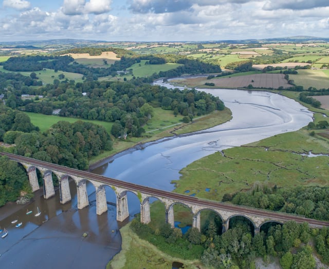Tamar Valley takes action for nature