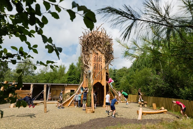 Summer of fun at Eden