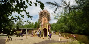 Spectacular new play area opens at the Eden Project 