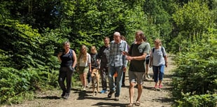 Protect Earth lead restoration tour of High Wood near Liskeard