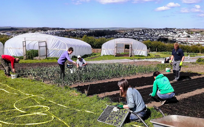 The Camel CSA (Community Supported Agriculture) at Treraven Farm, Wadebridge