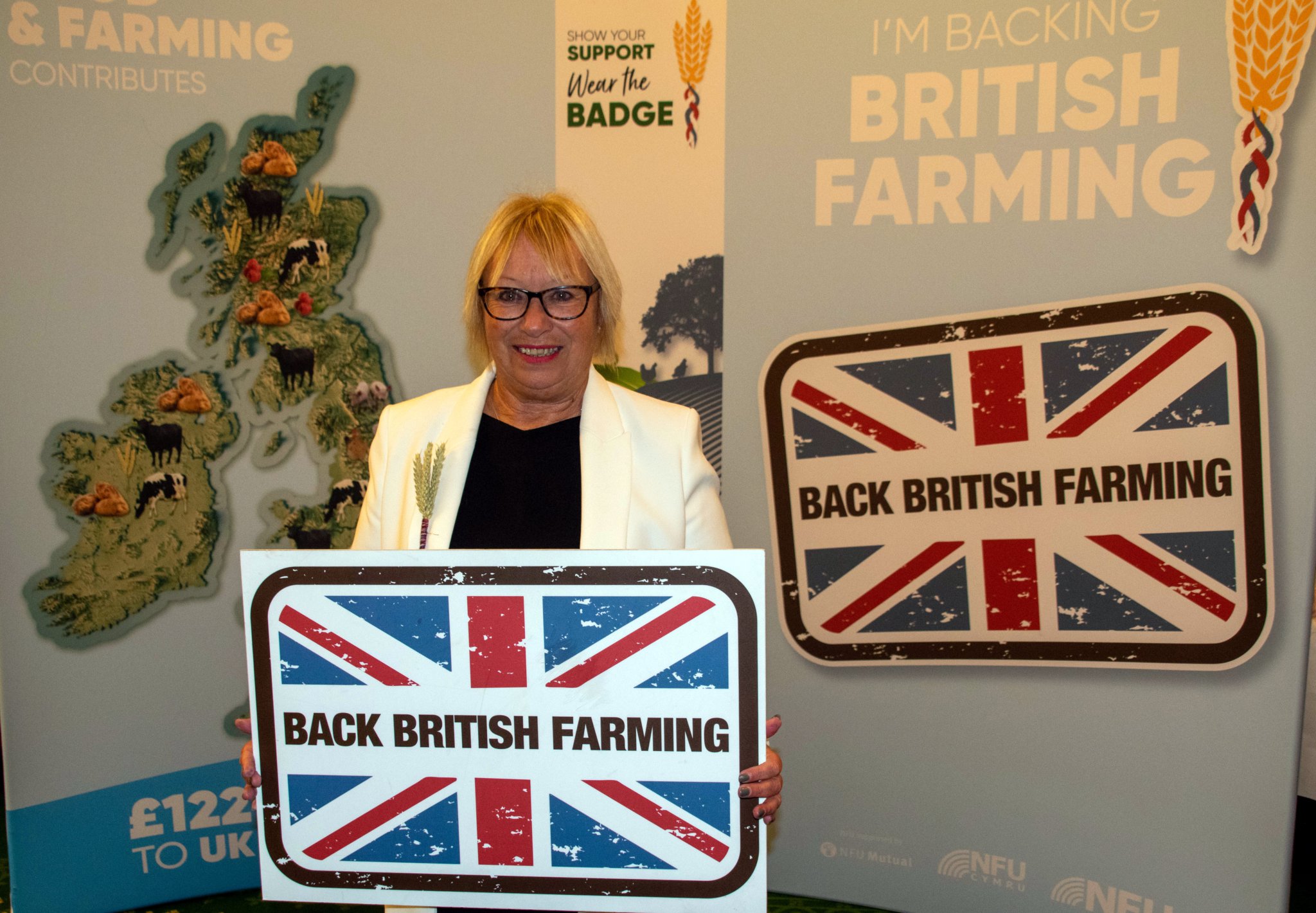 Westminster column with MP Sheryll Murray