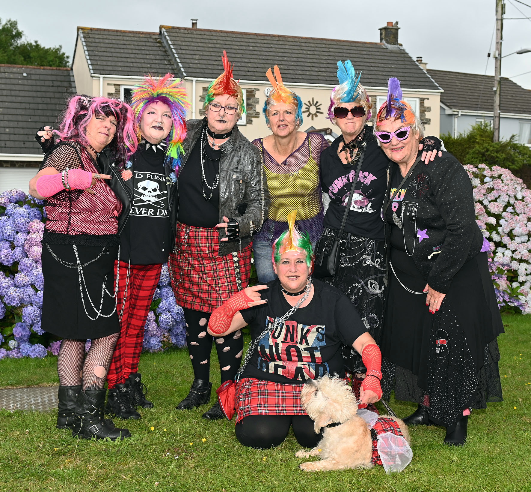 Roche carnival proves to be great success