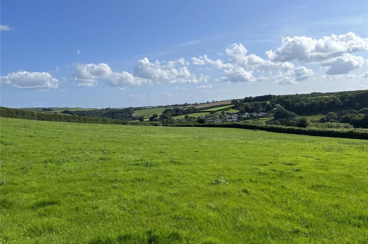 auction cornwall