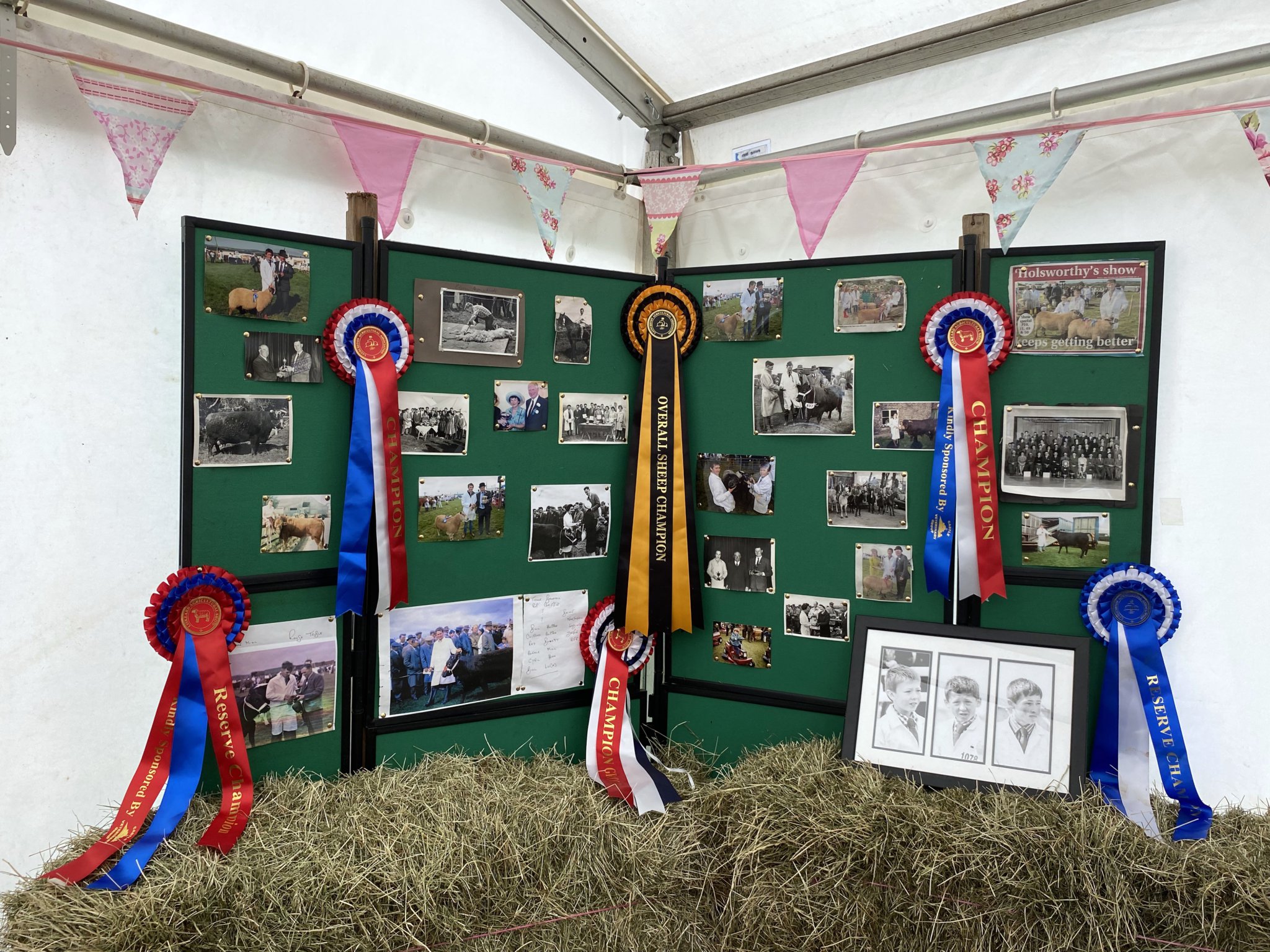Local winners at this year’s Holsworthy & Stratton show