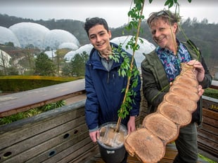 Teen finds seed from world’s biggest bean pod on beach