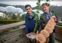 Teen finds seed from world’s biggest bean pod on beach