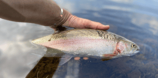 Boat and bank anglers enjoy equal measures of success