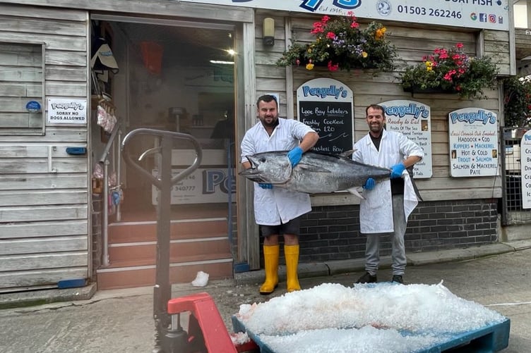 Tuna in Looe