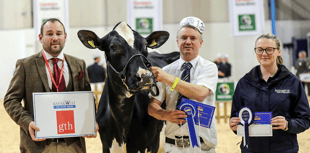 Future looks bright for this year’s Dairy Show