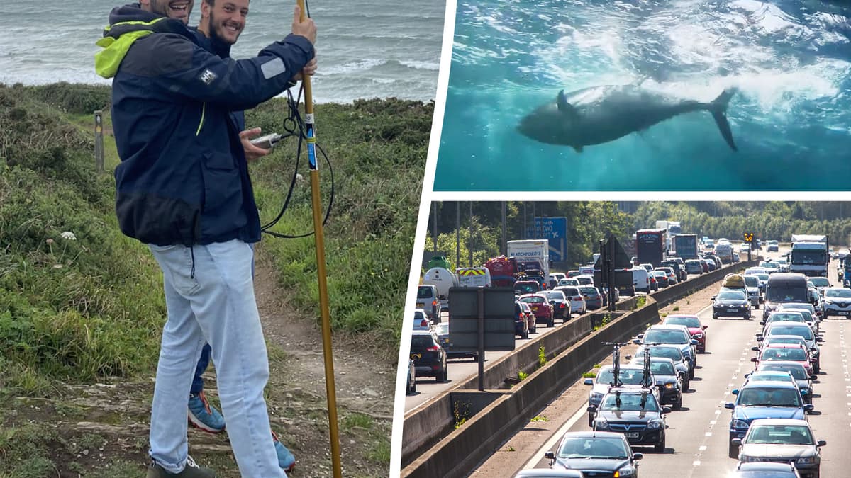 Scientists who satellite-tagged a tuna followed it up the M5