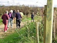Free weekly walks to be held throughout the Tamar Valley