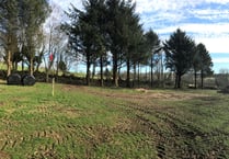Cornwall Council express concern over controversial Gillyflower site